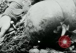 Image of German infantry Western Front European Theater, 1944, second 61 stock footage video 65675054014
