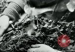 Image of German infantry Western Front European Theater, 1944, second 62 stock footage video 65675054014