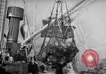 Image site de Port Mourmansk la Russie soviétique, 1947, de la seconde 41 séquences d'archives historiques vidéo 65675054024