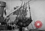 Image site de Port Mourmansk la Russie soviétique, 1947, de la seconde 42 séquences d'archives historiques vidéo 65675054024