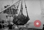 Image site de Port Mourmansk la Russie soviétique, 1947, de la seconde 43 séquences d'archives historiques vidéo 65675054024