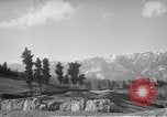 Image of vineyards of Crimea in spring Crimea Ukraine, 1947, second 5 stock footage video 65675054026