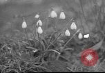 Image of vineyards of Crimea in spring Crimea Ukraine, 1947, second 9 stock footage video 65675054026