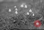 Image of vineyards of Crimea in spring Crimea Ukraine, 1947, second 10 stock footage video 65675054026