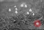Image of vineyards of Crimea in spring Crimea Ukraine, 1947, second 12 stock footage video 65675054026