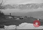 Image of vineyards of Crimea in spring Crimea Ukraine, 1947, second 16 stock footage video 65675054026
