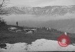 Image of vineyards of Crimea in spring Crimea Ukraine, 1947, second 17 stock footage video 65675054026