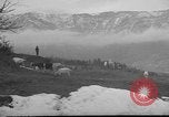 Image of vineyards of Crimea in spring Crimea Ukraine, 1947, second 19 stock footage video 65675054026