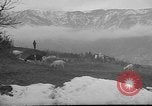 Image of vineyards of Crimea in spring Crimea Ukraine, 1947, second 20 stock footage video 65675054026