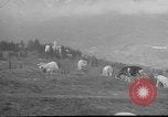Image of vineyards of Crimea in spring Crimea Ukraine, 1947, second 25 stock footage video 65675054026