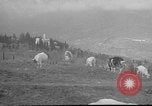 Image of vineyards of Crimea in spring Crimea Ukraine, 1947, second 27 stock footage video 65675054026