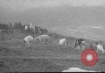 Image of vineyards of Crimea in spring Crimea Ukraine, 1947, second 29 stock footage video 65675054026
