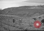 Image of vineyards of Crimea in spring Crimea Ukraine, 1947, second 30 stock footage video 65675054026