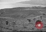 Image of vineyards of Crimea in spring Crimea Ukraine, 1947, second 31 stock footage video 65675054026