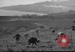 Image of vineyards of Crimea in spring Crimea Ukraine, 1947, second 34 stock footage video 65675054026