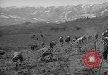 Image of vineyards of Crimea in spring Crimea Ukraine, 1947, second 39 stock footage video 65675054026