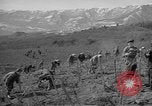 Image of vineyards of Crimea in spring Crimea Ukraine, 1947, second 40 stock footage video 65675054026