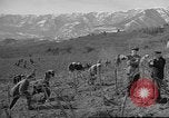Image of vineyards of Crimea in spring Crimea Ukraine, 1947, second 41 stock footage video 65675054026
