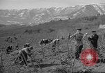 Image of vineyards of Crimea in spring Crimea Ukraine, 1947, second 42 stock footage video 65675054026
