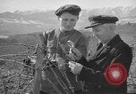Image of vineyards of Crimea in spring Crimea Ukraine, 1947, second 45 stock footage video 65675054026