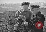 Image of vineyards of Crimea in spring Crimea Ukraine, 1947, second 46 stock footage video 65675054026