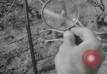 Image of vineyards of Crimea in spring Crimea Ukraine, 1947, second 51 stock footage video 65675054026