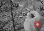 Image of vineyards of Crimea in spring Crimea Ukraine, 1947, second 52 stock footage video 65675054026