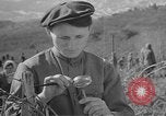 Image of vineyards of Crimea in spring Crimea Ukraine, 1947, second 58 stock footage video 65675054026
