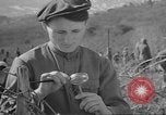 Image of vineyards of Crimea in spring Crimea Ukraine, 1947, second 59 stock footage video 65675054026