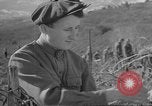 Image of vineyards of Crimea in spring Crimea Ukraine, 1947, second 61 stock footage video 65675054026
