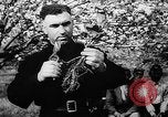 Image of Horticulture in USSR Russia Soviet Union, 1949, second 14 stock footage video 65675054030