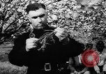Image of Horticulture in USSR Russia Soviet Union, 1949, second 15 stock footage video 65675054030