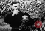 Image of Horticulture in USSR Russia Soviet Union, 1949, second 18 stock footage video 65675054030