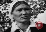 Image of Horticulture in USSR Russia Soviet Union, 1949, second 19 stock footage video 65675054030