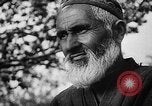 Image of Horticulture in USSR Russia Soviet Union, 1949, second 20 stock footage video 65675054030