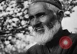 Image of Horticulture in USSR Russia Soviet Union, 1949, second 21 stock footage video 65675054030