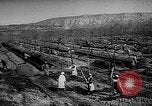 Image of Horticulture in USSR Russia Soviet Union, 1949, second 25 stock footage video 65675054030