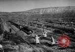 Image of Horticulture in USSR Russia Soviet Union, 1949, second 26 stock footage video 65675054030