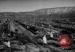 Image of Horticulture in USSR Russia Soviet Union, 1949, second 27 stock footage video 65675054030