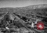 Image of Horticulture in USSR Russia Soviet Union, 1949, second 28 stock footage video 65675054030