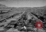 Image of Horticulture in USSR Russia Soviet Union, 1949, second 33 stock footage video 65675054030