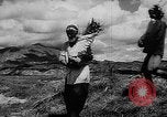 Image of Horticulture in USSR Russia Soviet Union, 1949, second 35 stock footage video 65675054030