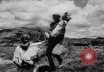 Image of Horticulture in USSR Russia Soviet Union, 1949, second 36 stock footage video 65675054030