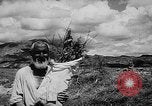 Image of Horticulture in USSR Russia Soviet Union, 1949, second 37 stock footage video 65675054030
