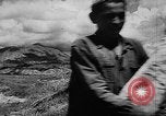 Image of Horticulture in USSR Russia Soviet Union, 1949, second 39 stock footage video 65675054030
