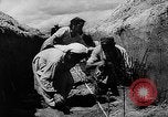Image of Horticulture in USSR Russia Soviet Union, 1949, second 40 stock footage video 65675054030