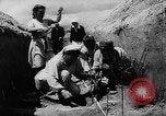 Image of Horticulture in USSR Russia Soviet Union, 1949, second 41 stock footage video 65675054030