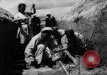 Image of Horticulture in USSR Russia Soviet Union, 1949, second 42 stock footage video 65675054030