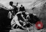 Image of Horticulture in USSR Russia Soviet Union, 1949, second 43 stock footage video 65675054030