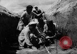 Image of Horticulture in USSR Russia Soviet Union, 1949, second 44 stock footage video 65675054030